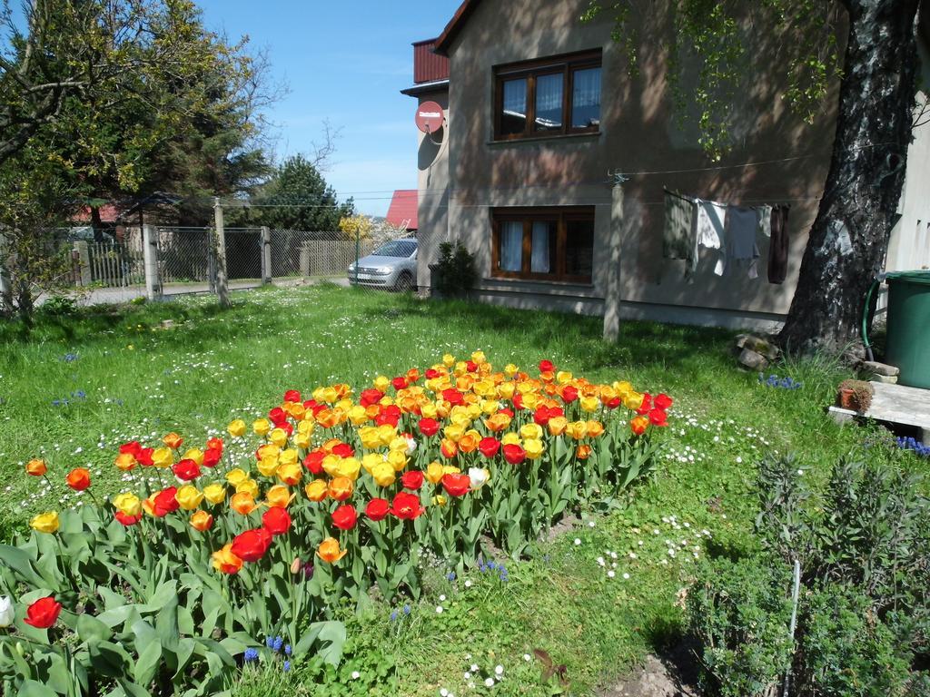 Ferienwohnung Wawrok Pirna Dış mekan fotoğraf